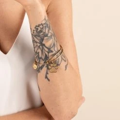 Engravable Paw Print Charm Bangle -Alex And Ani Bracelets Shop Engravable Paw Print Charm Bangle Rafaelian Gold Model EN21EWBPWRG