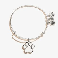 Engravable Paw Print Charm Bangle -Alex And Ani Bracelets Shop Engravable Paw Print Charm Bangle Rafaelian Silver Front EN21EWBPWRS