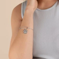 Engravable Paw Print Charm Bangle -Alex And Ani Bracelets Shop Engravable Paw Print Charm Bangle Rafaelian Silver Model EN21EWBPWRS