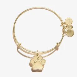 Engravable Paw Print Charm Bangle -Alex And Ani Bracelets Shop Engravable Paw Print Charm Bangle Shiny Gold Front EN21EWBPWSG