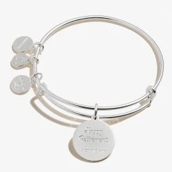 'Happy Retirement' Charm Bangle -Alex And Ani Bracelets Shop Happy Retirement Charm Bangle Silver Back A21EBRETSS
