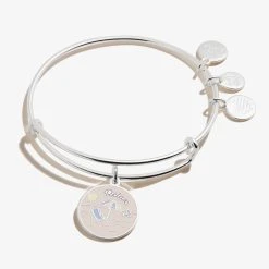 'Happy Retirement' Charm Bangle -Alex And Ani Bracelets Shop Happy Retirement Charm Bangle Silver Front A21EBRETSS