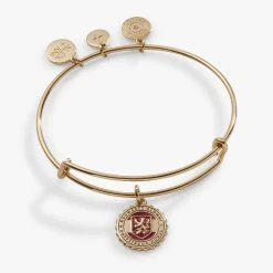 Alex And Ani Bracelets Shop 35 Harry Potterâ„¢ Gryffindor House Engravable Charm Bangle