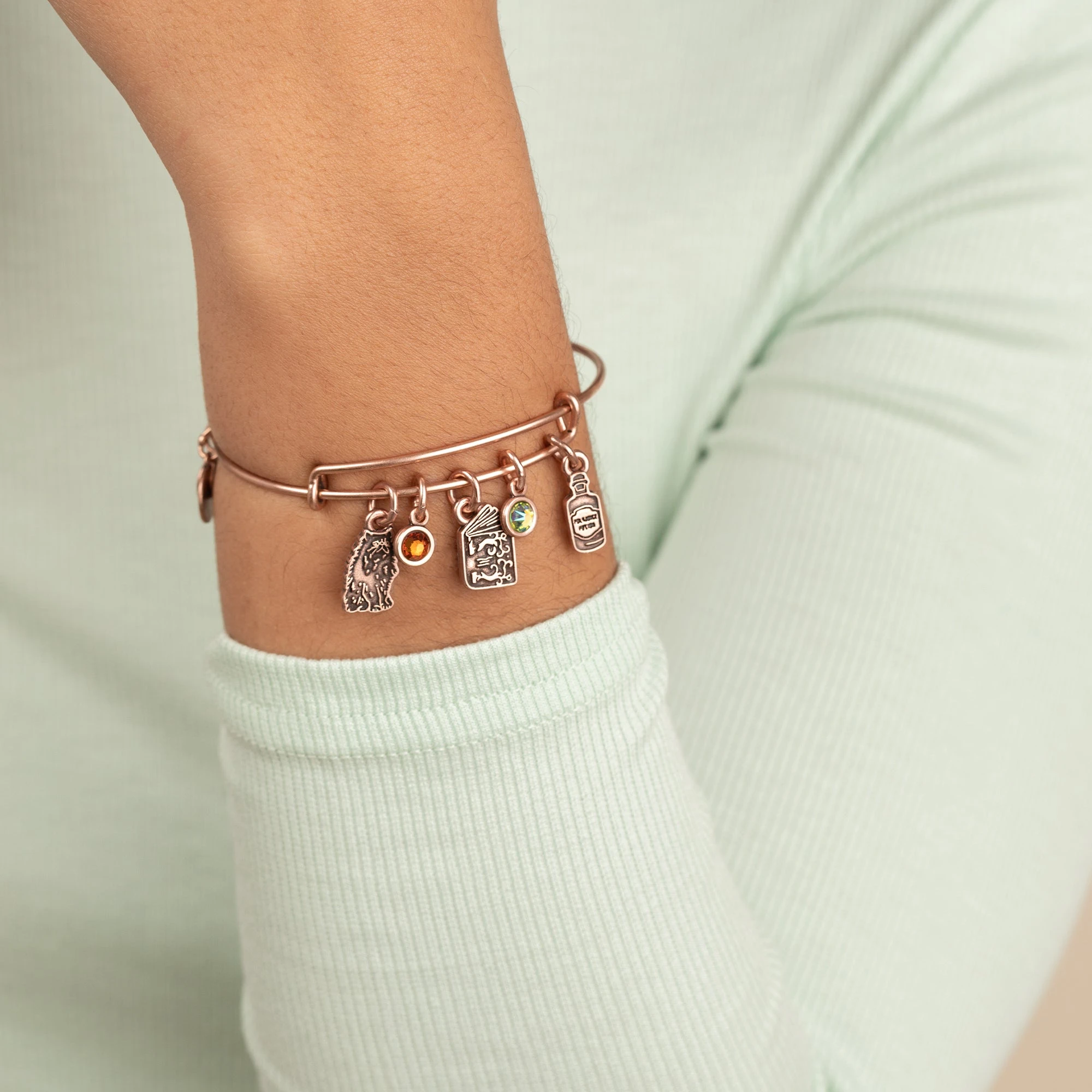 Harry Potter™ Hermione Multi-Charm Bangle 4 Harry Potter™ Hermione Multi-Charm Bangle - Image 2