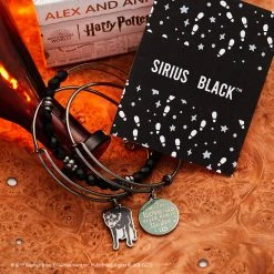 Harry Potter™ Sirius Black Charm Bangle Bracelets, Set Of 3 -Alex And Ani Bracelets Shop Harry Potter SOM October2022 AABrand IG 1200x1200 0bd3b85d d471 43a0 82fa 317a4cbfb152
