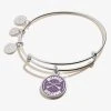 Harry Potter™ 'Wizards Welcome' Charm Bangle -Alex And Ani Bracelets Shop Harry Potter Wizards Welcome Charm Bangle Silver Front AS21EBHPWWSS