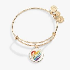 LOVE Rainbow Heart Charm Bangle 8 LOVE Rainbow Heart Charm Bangle -Alex And Ani Bracelets Shop LOVE Rainbow Heart Charm Bangle AA758923SG