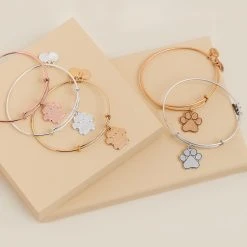 Engravable Paw Print Charm Bangle -Alex And Ani Bracelets Shop PAWPRINTLAYDOWN BANGLE