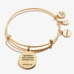 Sand Dollar Charm Bangle -Alex And Ani Bracelets Shop Sand Dollar Charm Bangle IV Gold Back A21EBSNDRG