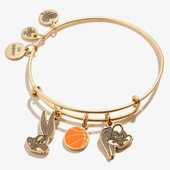 Space Jam Bugs + Lola Trio Charm Bangle