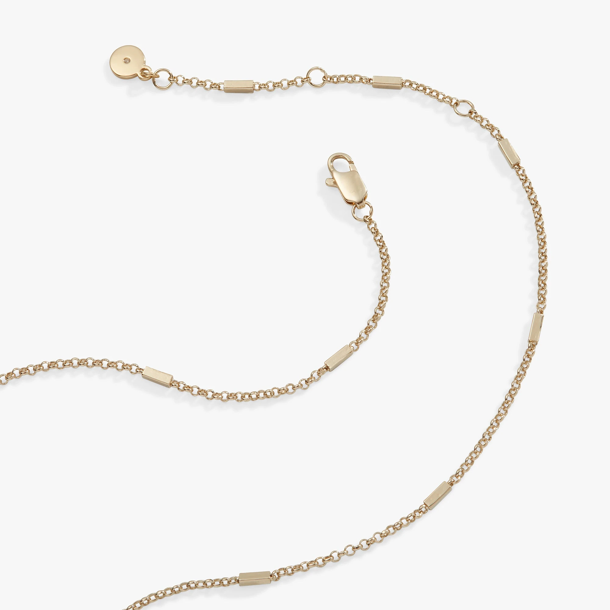 Stay Wild Adjustable Necklace 4 Stay Wild Adjustable Necklace - Image 2