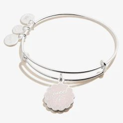 'Sweet 16' Charm Bangle -Alex And Ani Bracelets Shop Sweet 16 Charm Bangle Silver Front A21EB16SS