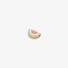 Watermelon Slider Charm
