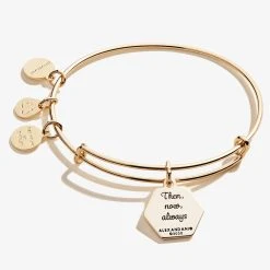 'I Love You' Charm Bangle -Alex And Ani Bracelets Shop a20bily01sag back