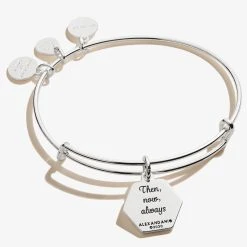 'I Love You' Charm Bangle -Alex And Ani Bracelets Shop a20bily01sas back