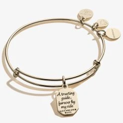 Aunt, 'Trusting Guide' Charm Bangle -Alex And Ani Bracelets Shop a20bily07sag back v2
