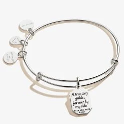 Aunt, 'Trusting Guide' Charm Bangle -Alex And Ani Bracelets Shop a20bily07sas back v2
