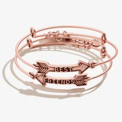 Best Friends Arrow Charm Bangles, Set Of 2 -Alex And Ani Bracelets Shop a20ebbfsetrar front opt v2
