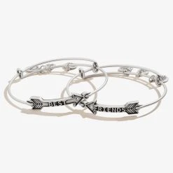 Best Friends Arrow Charm Bangles, Set Of 2 -Alex And Ani Bracelets Shop a20ebbfsetrs front v2 1