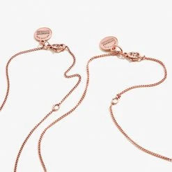 Best Friends Arrow Necklaces, Set Of 2 11 Best Friends Arrow Necklaces, Set Of 2 -Alex And Ani Bracelets Shop a20enbfsetrar back v3 1