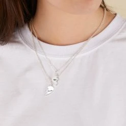 Best Friends Charm Necklace, Set Of 2 -Alex And Ani Bracelets Shop best friends charm necklace set 2 iii silver A21ENBFSS