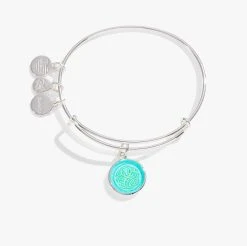 Crystal Path Of Life Charm Bangle Bracelet