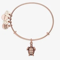 Sea Turtle Textured Charm Bangle -Alex And Ani Bracelets Shop cbd18strogsr back