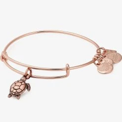 Sea Turtle Textured Charm Bangle -Alex And Ani Bracelets Shop cbd18strogsr front