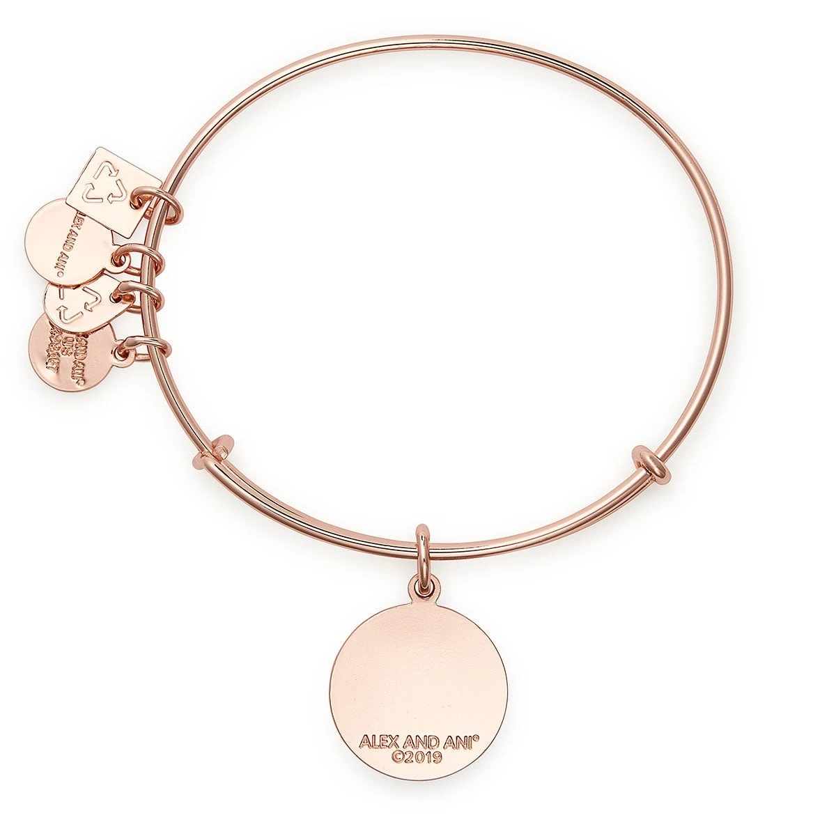 Arrows Of Friendship Charm Bangle 6 Arrows Of Friendship Charm Bangle - Image 4