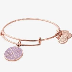 Arrows Of Friendship Charm Bangle 9 Arrows Of Friendship Charm Bangle -Alex And Ani Bracelets Shop cbd19aofsr front