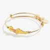'Choose To Shine' Sunshine Inline Bangle Bracelet -Alex And Ani Bracelets Shop choose to shine sunshine inline bangle bracelet AA648022EWBSG