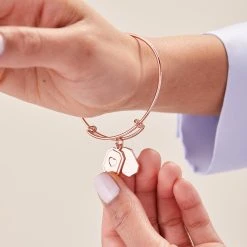 Engravable Heart Slider Charm Bangle -Alex And Ani Bracelets Shop engravable heart slider charm bangle EN21EBSLIDSR64062