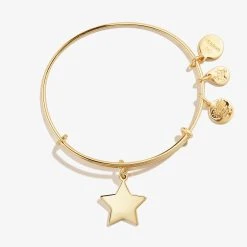 Engravable Star Charm Bangle -Alex And Ani Bracelets Shop engravable star charm bangle top EN21EBSTSG