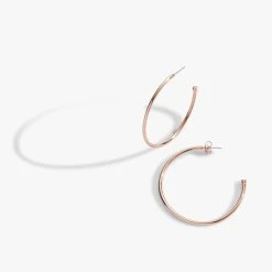 Growth + New Beginnings Fall Seasonal Box -Alex And Ani Bracelets Shop growth and new beginnings fall seasonal box HOOPS AA681122FLBX