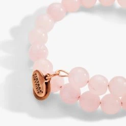 Growth + New Beginnings Fall Seasonal Box -Alex And Ani Bracelets Shop growth and new beginnings fall seasonal box WRAP ALT AA681122FLBX