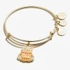 'Hallowqueen' Charm Bangle -Alex And Ani Bracelets Shop hallowqueen charm bangle bracelet front A21EBHQNSG