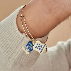 Harry Potter™ Hogwarts™ Welcome Home Slider Charm Bangle -Alex And Ani Bracelets Shop harry potter hogwarts welcome home slider charm bangle bracelet model AS21HPNOVSG V2