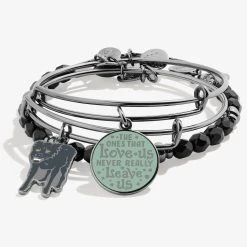 Harry Potter™ Sirius Black Charm Bangle Bracelets, Set Of 3