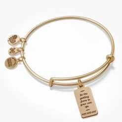 Intuition Moon Oracle Charm Bangle Bracelet -Alex And Ani Bracelets Shop intuition moon charm bangle bracelet back1 AA635322EWBRG