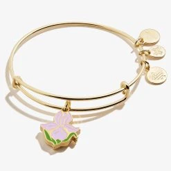 Iris Flower Mantra Charm Bangle -Alex And Ani Bracelets Shop iris flower charm bangle bracelet front A21EBIRISSG