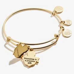 Iris Flower Mantra Charm Bangle -Alex And Ani Bracelets Shop iris flower charm bangle bracelet front2 A21EBIRISSG