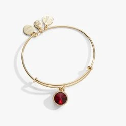 January Birthstone Charm Bangle, Scarlet -Alex And Ani Bracelets Shop january birthstone charm bangle bracelet scarlet front A21EBBIR1SG