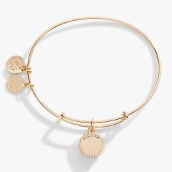 July Birthstone Charm Bangle, Ruby 13 July Birthstone Charm Bangle, Ruby -Alex And Ani Bracelets Shop july birthstone charm bangle bracelet light siam back A21EBBIR7SG