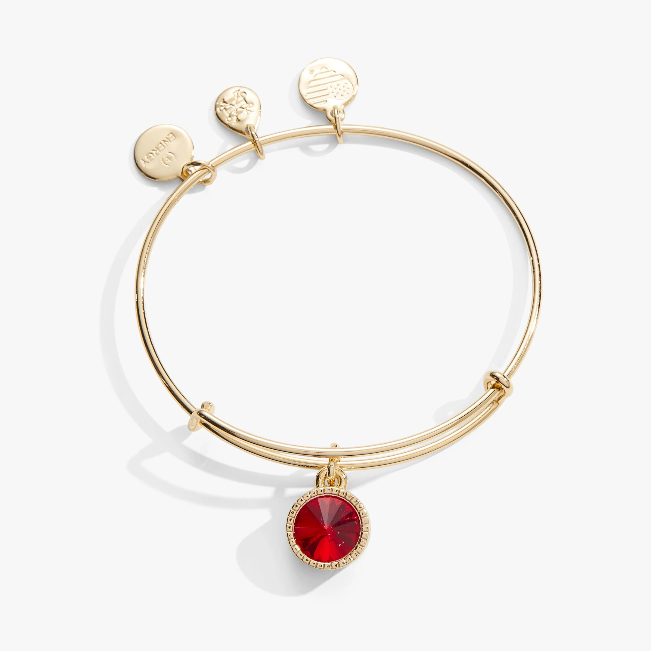 July Birthstone Charm Bangle, Ruby 6 July Birthstone Charm Bangle, Ruby - Image 4