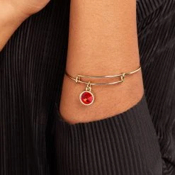 July Birthstone Charm Bangle, Ruby 12 July Birthstone Charm Bangle, Ruby -Alex And Ani Bracelets Shop july birthstone charm bangle bracelet light siam model A21EBBIR7SG