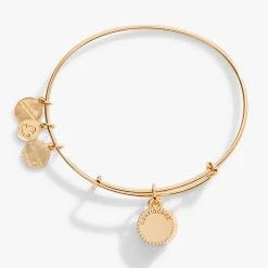 June Birthstone Charm Bangle, Light Amethyst -Alex And Ani Bracelets Shop june birthstone charm bangle bracelet light amethyst back A21EBBIR6SG