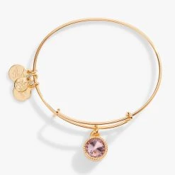 June Birthstone Charm Bangle, Light Amethyst -Alex And Ani Bracelets Shop june birthstone charm bangle bracelet light amethyst front A21EBBIR6SG