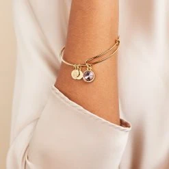 June Birthstone Charm Bangle, Light Amethyst -Alex And Ani Bracelets Shop june birthstone charm bangle bracelet light amethyst model A21EBBIR6SG