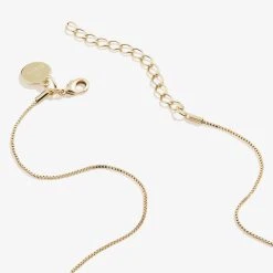 Light Amethyst Heart Necklace, June Birthstone -Alex And Ani Bracelets Shop light amethyst heart necklace june birthstone back A22ENHRT6SG