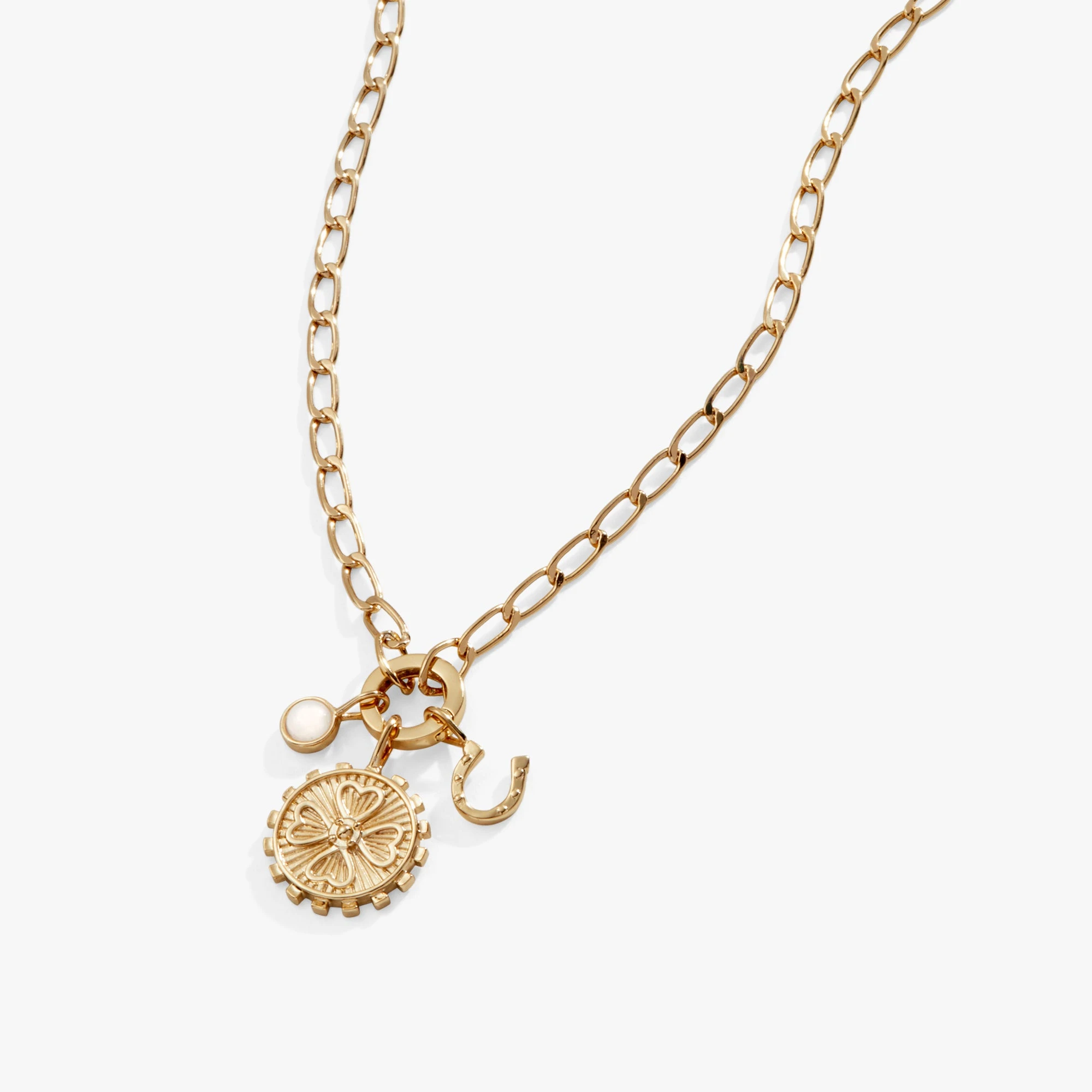 Love + Luck Multi-Charm Interchangeable Necklace 3 Love + Luck Multi-Charm Interchangeable Necklace